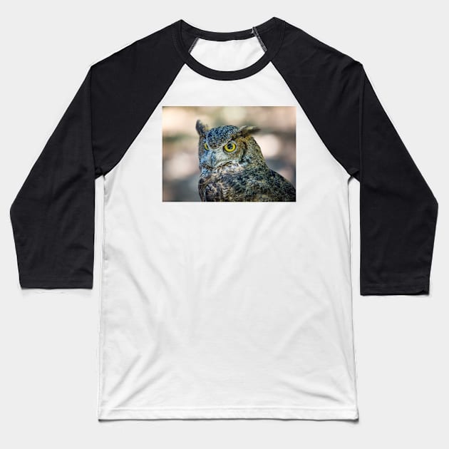 Owl Portrait, Grants Pass, Oregon, 2016 Baseball T-Shirt by JeffreySchwartz